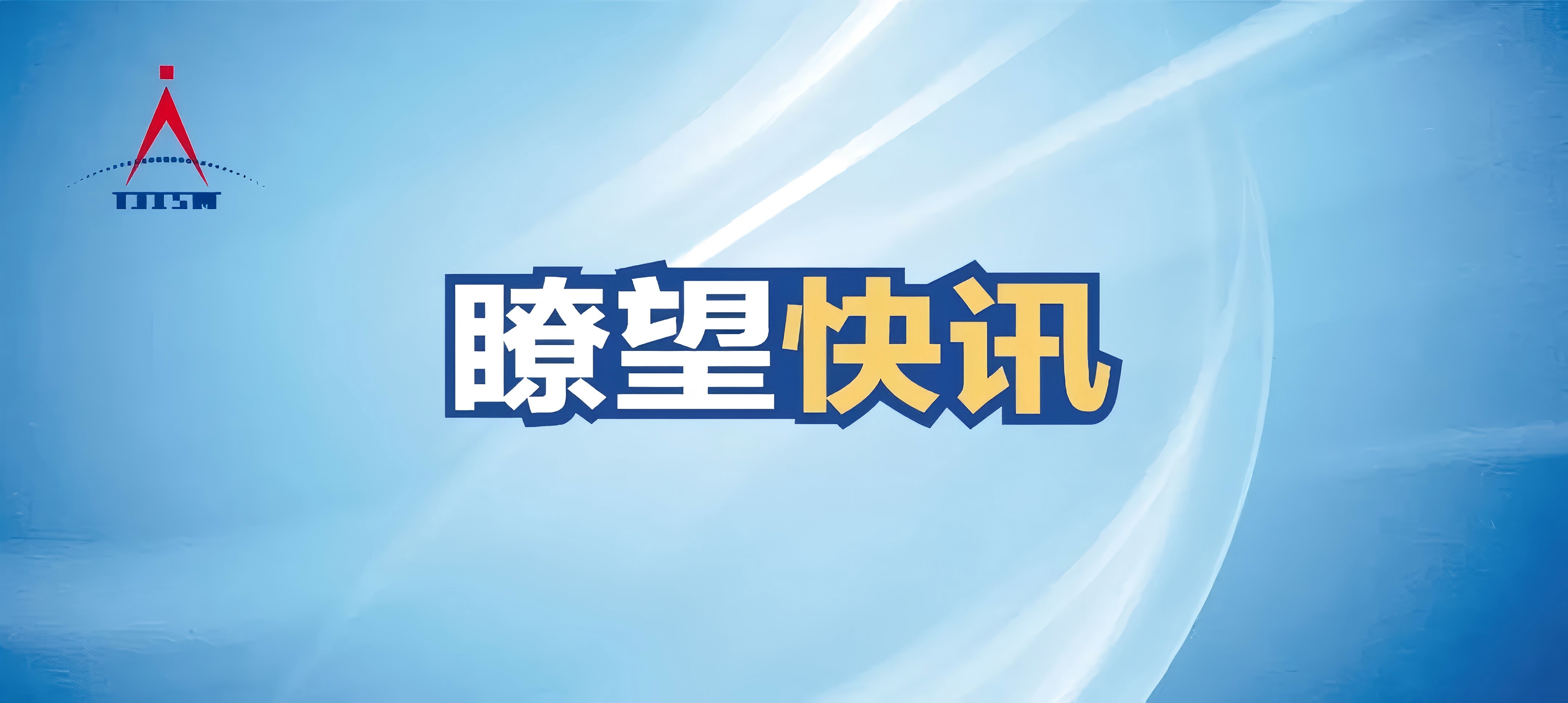 瞭望快讯 2025年第4期（总第17期）